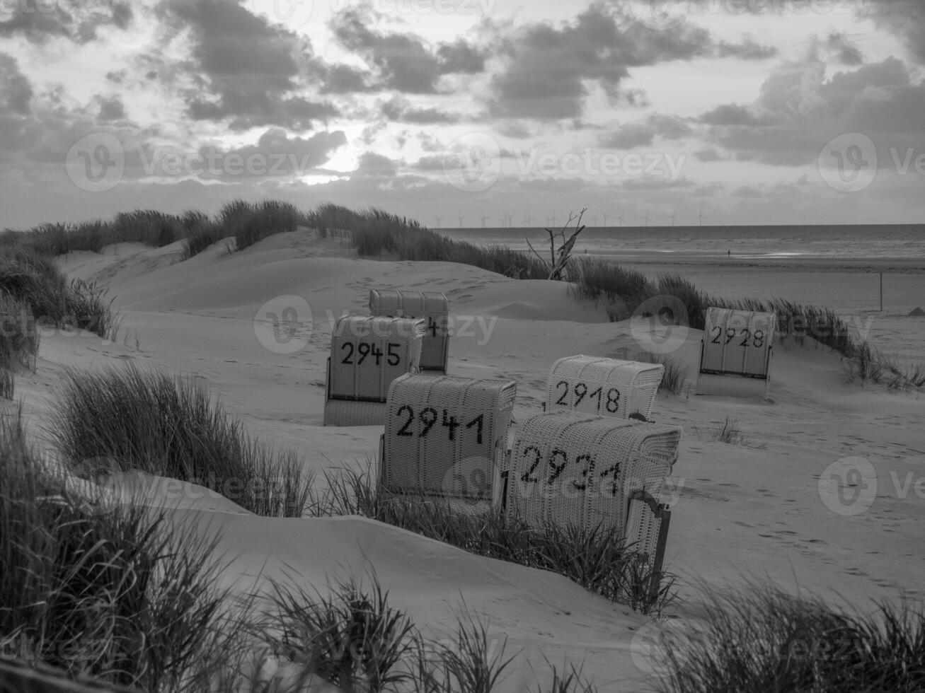 juist in the north sea photo