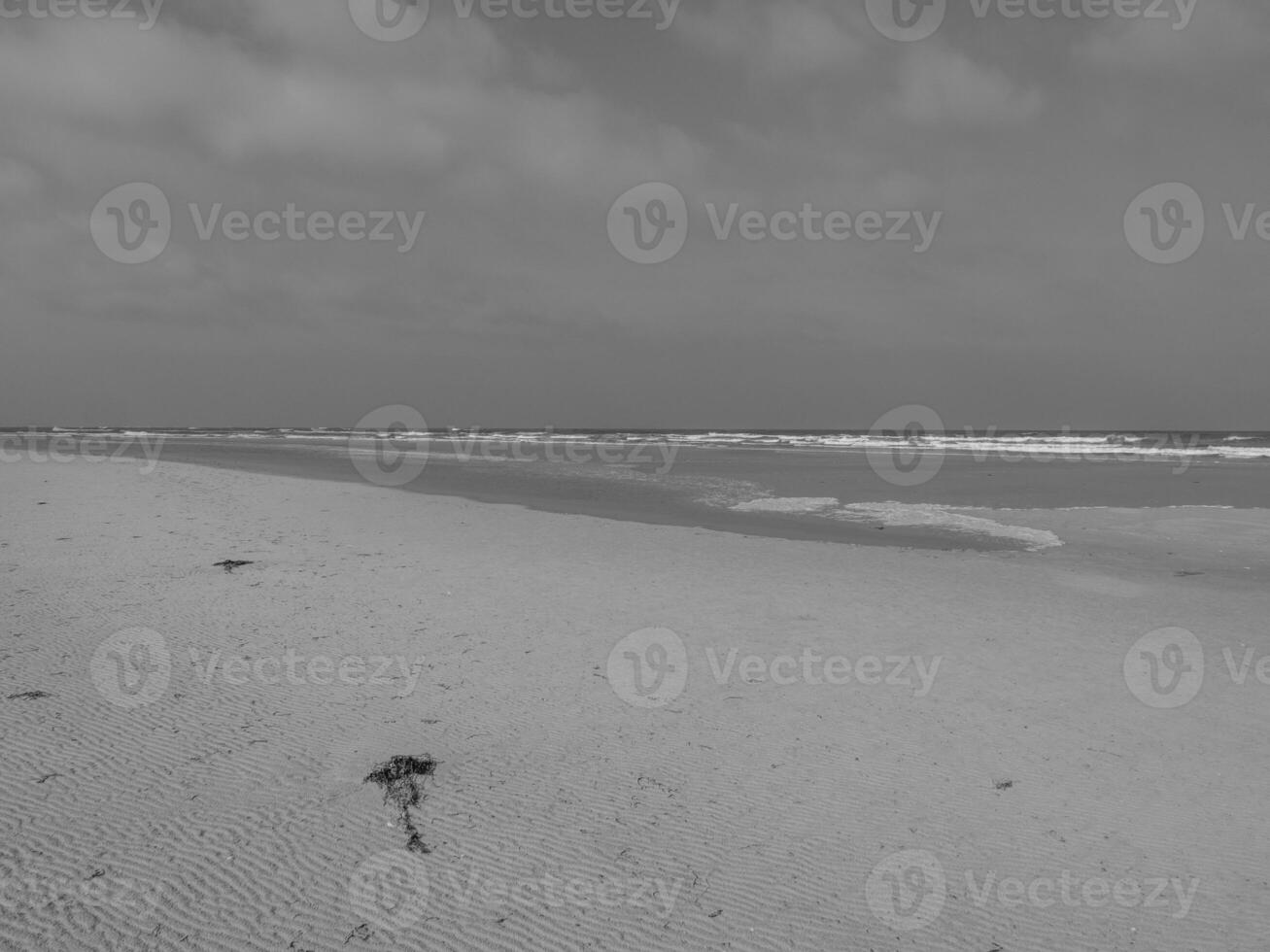 the island of juist photo