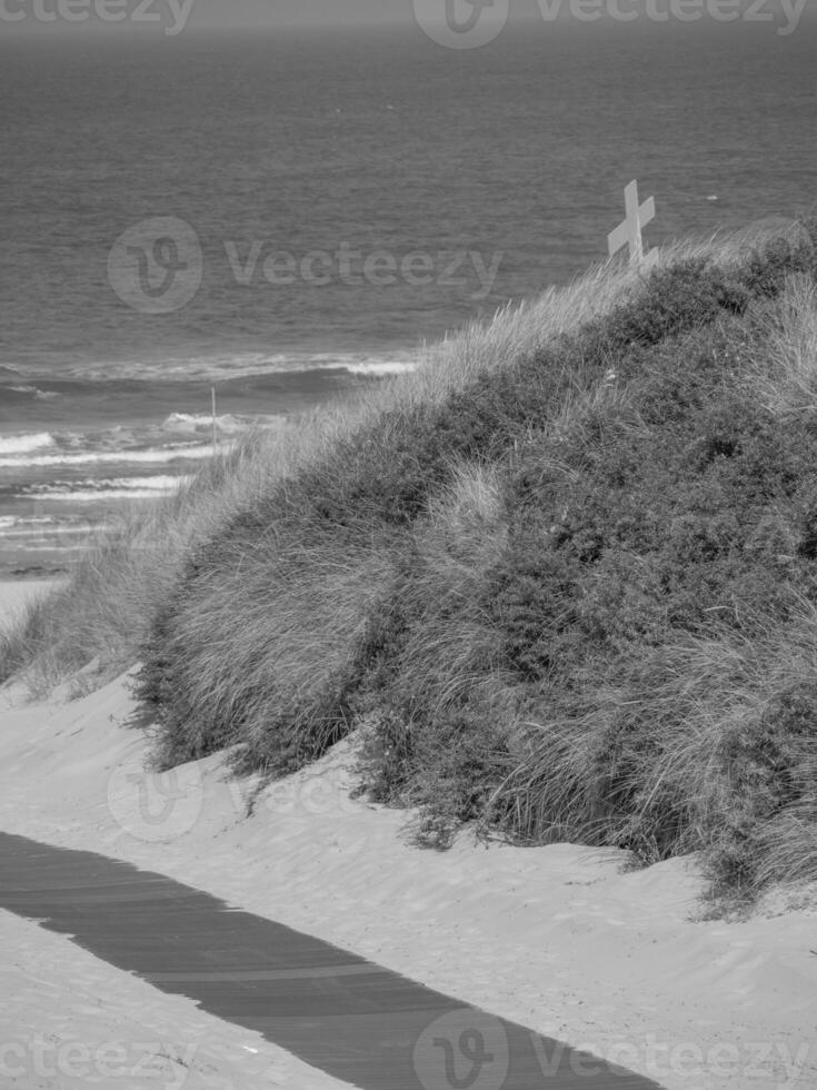 juist in the north sea photo