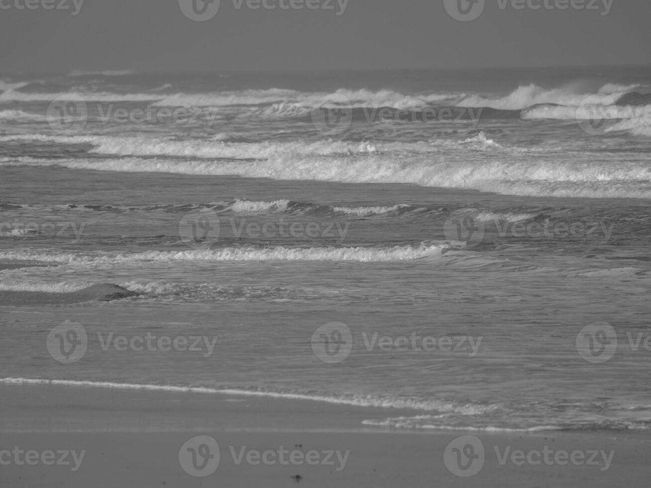 juist in the north sea photo