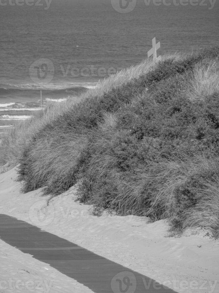 juist in the north sea photo