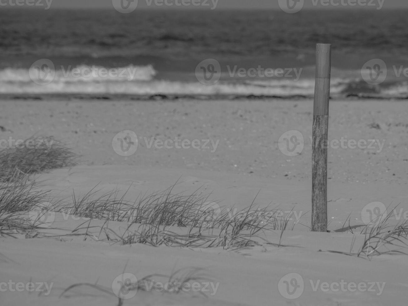 juist in the north sea photo