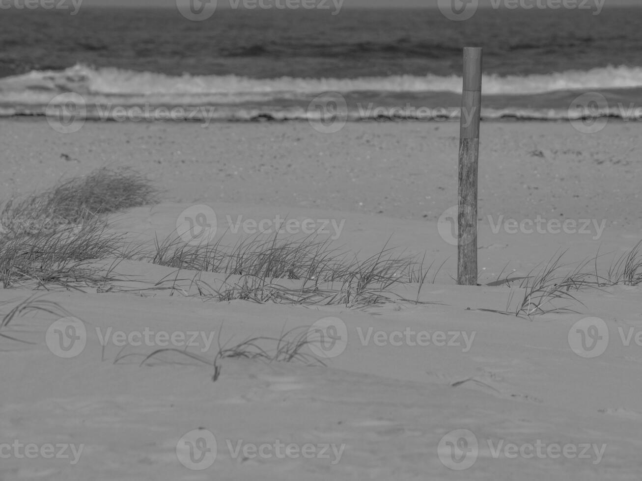 juist in the north sea photo