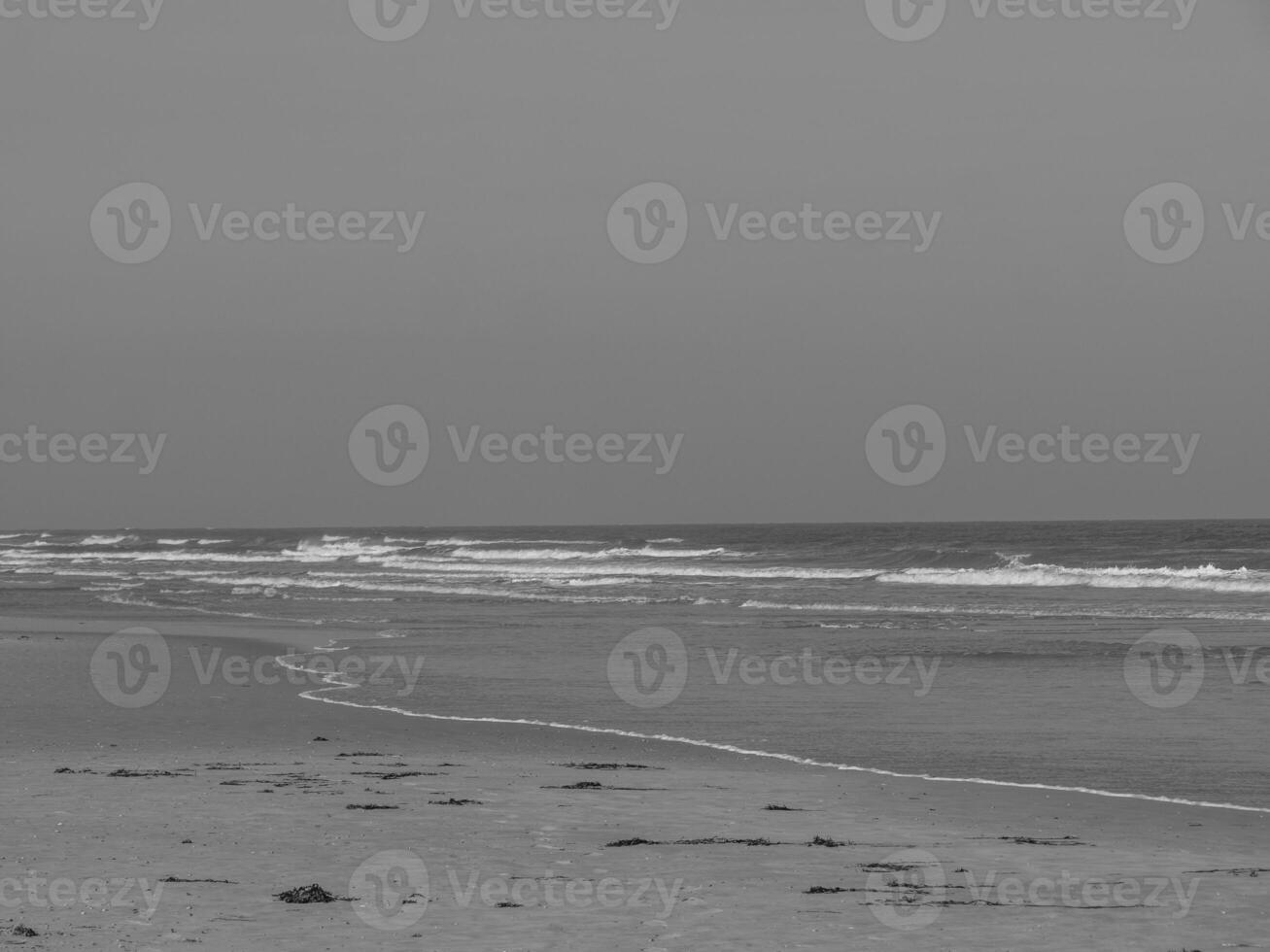 the island of juist photo