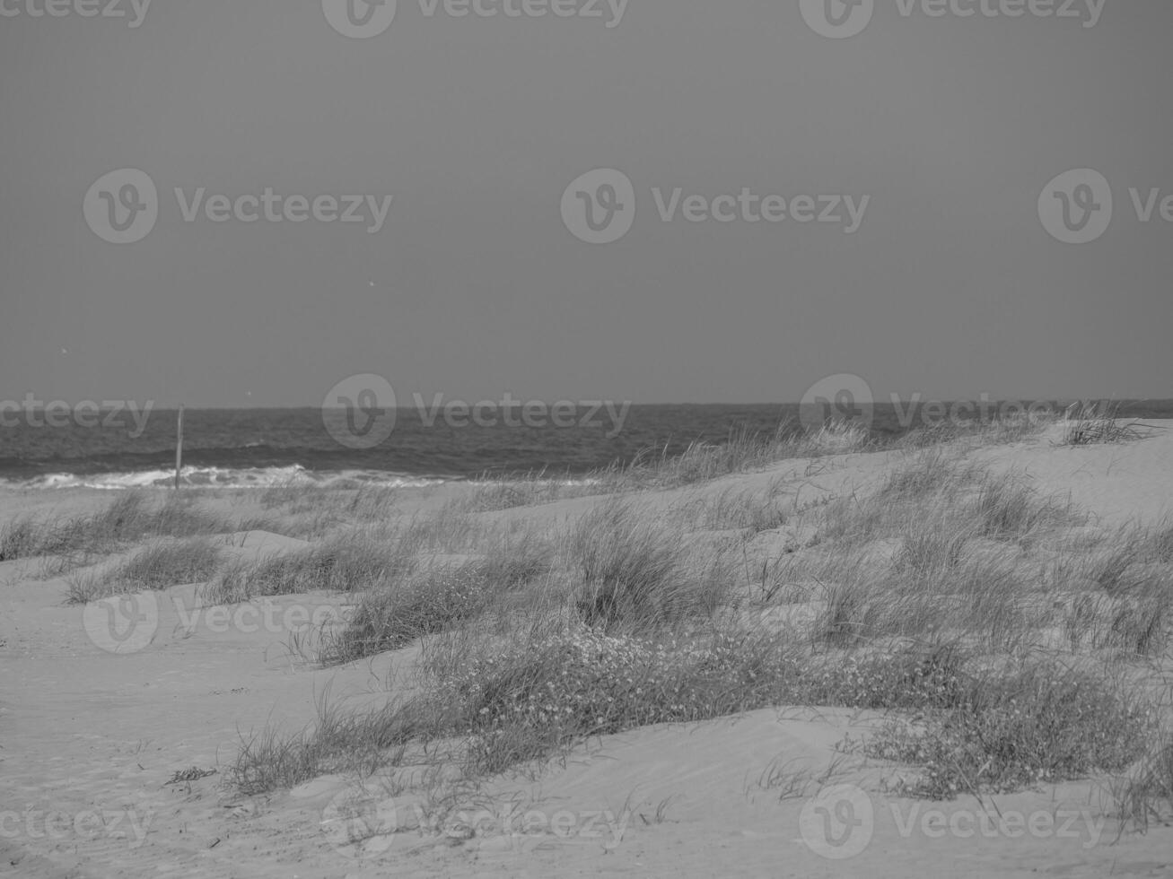 the island of juist photo