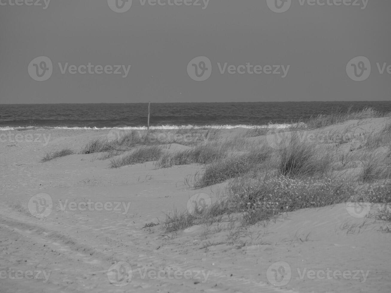 the island of juist photo