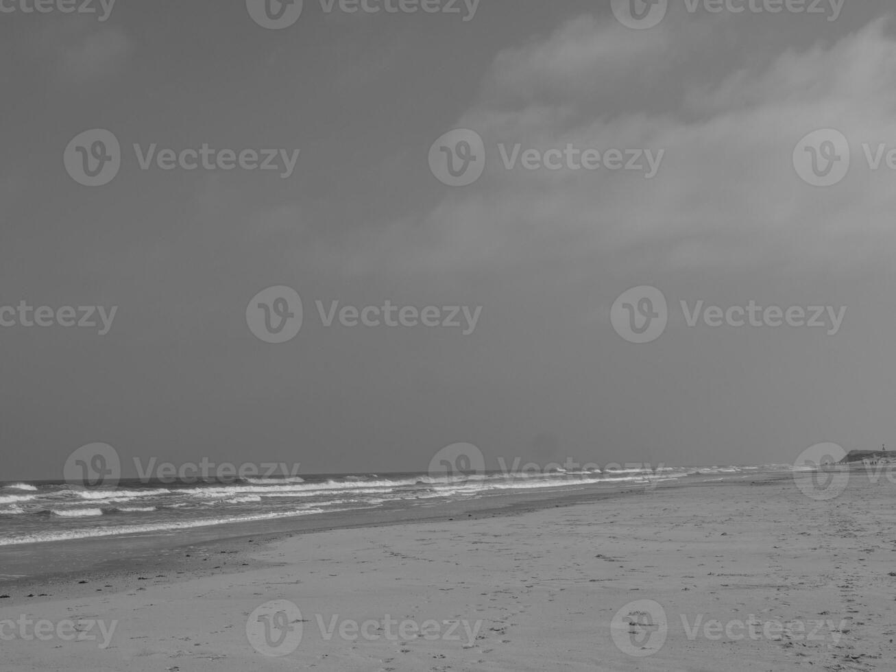 the island of juist photo