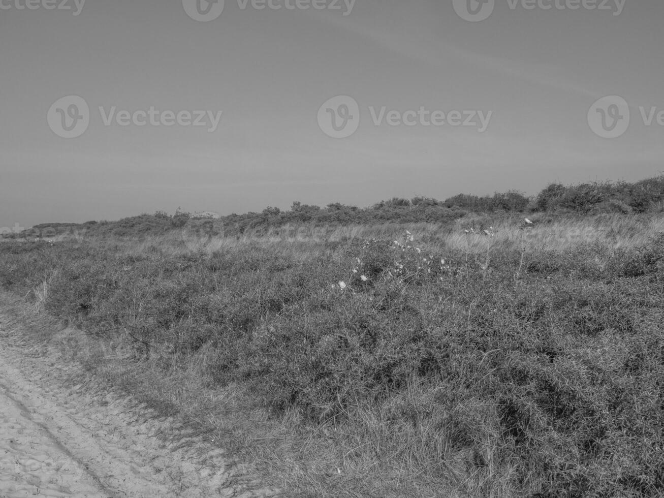 the island of juist photo