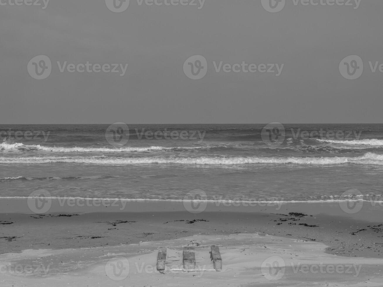 the island of juist photo