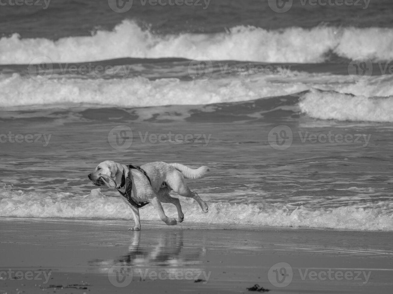 justo en el norte mar foto