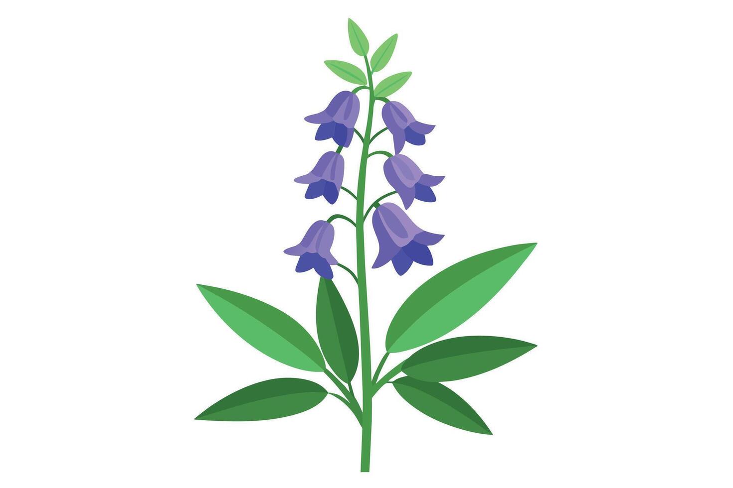 Monkshood Flower Vector Illustration Isolated on a Clean Background