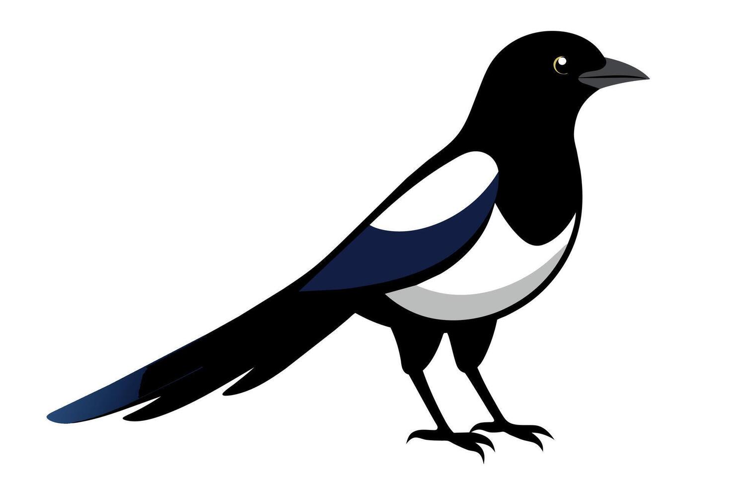 Cute Magpie Isolated On a Clean Background vector