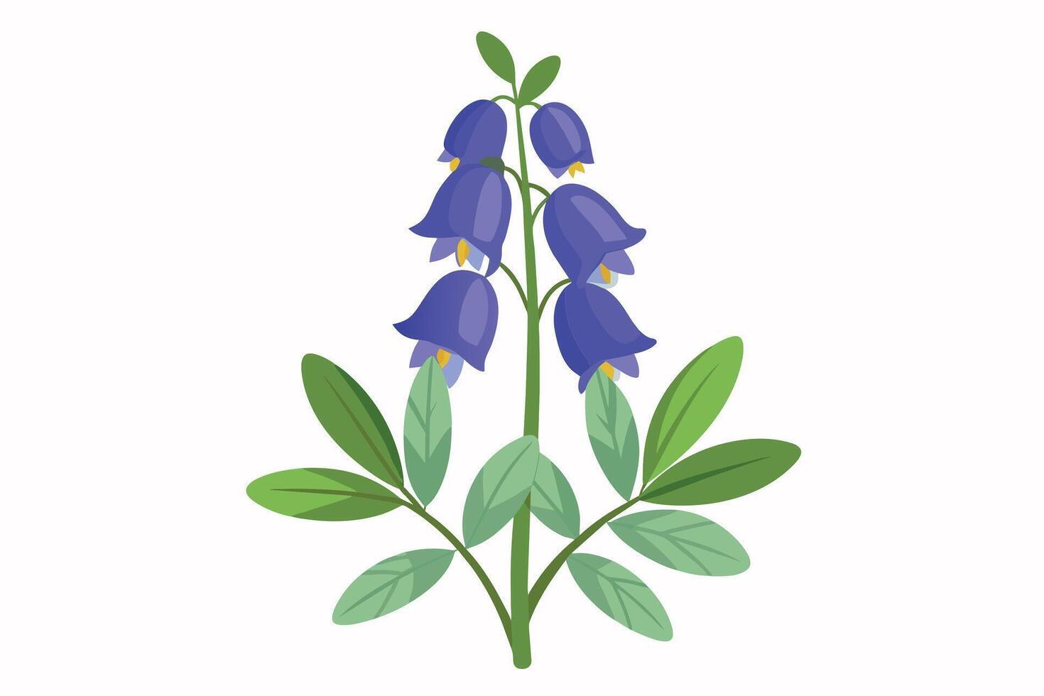 Monkshood Flower Vector Illustration Isolated on a Clean Background