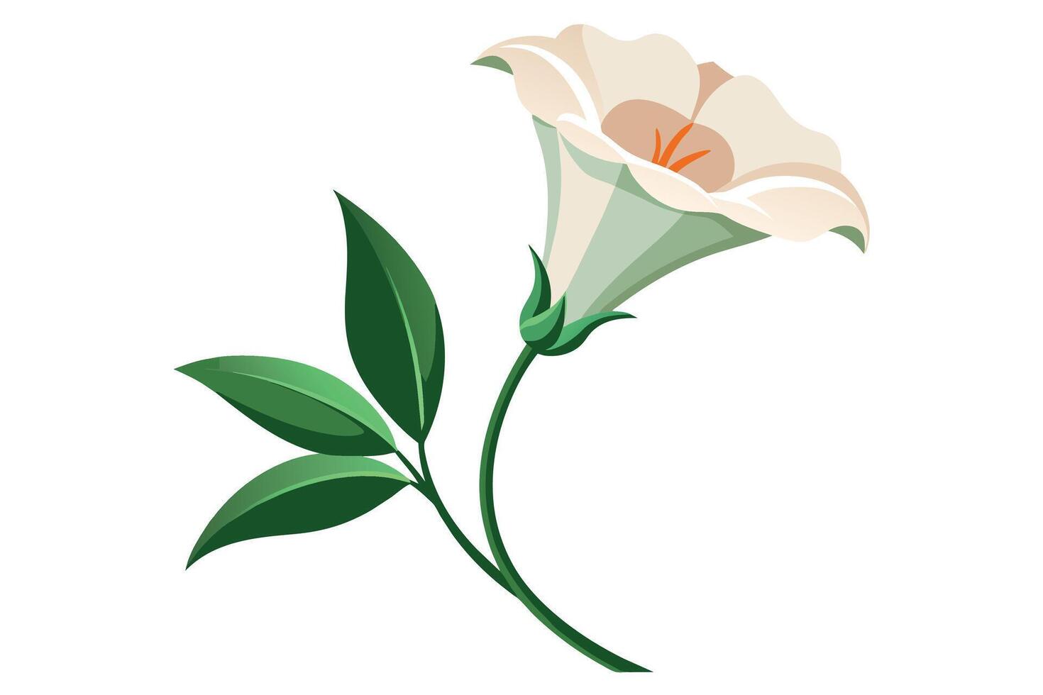 lisianthus Flower Vector Illustration Isolated on a Clean Background