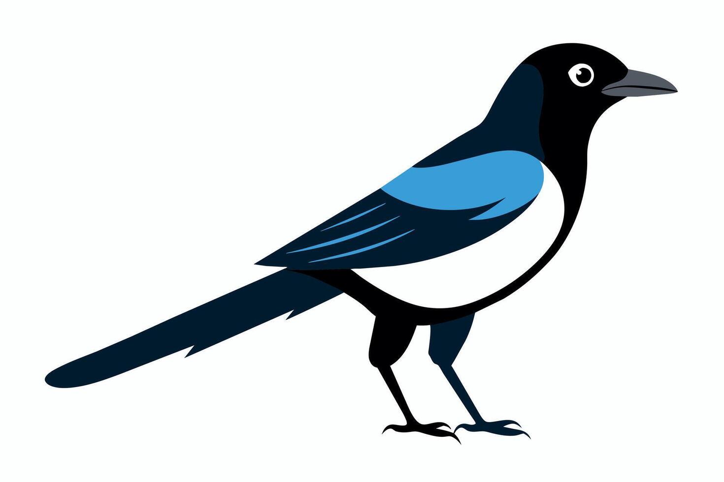 Cute Magpie Isolated On a Clean Background vector