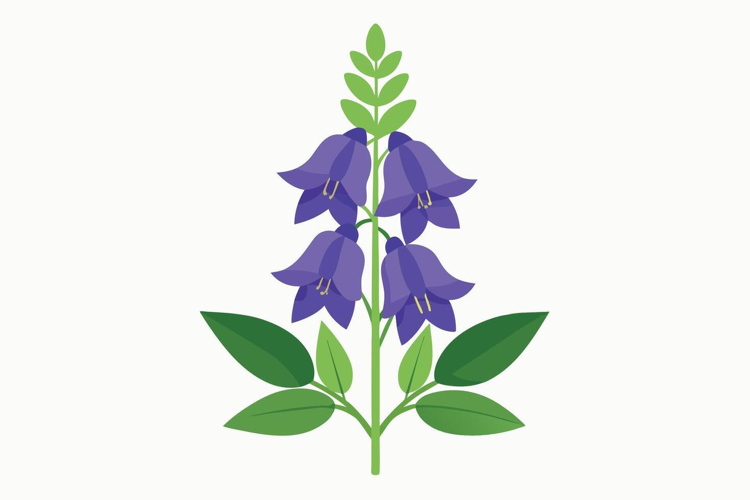 Monkshood Flower Vector Illustration Isolated on a Clean Background