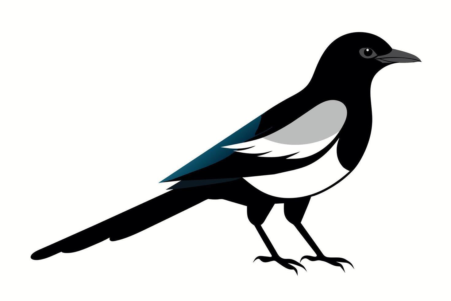Cute Magpie Isolated On a Clean Background vector