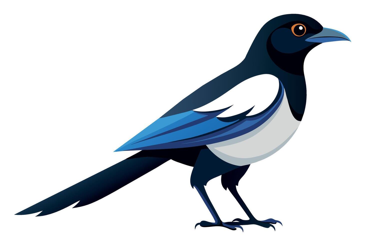 Cute Magpie Isolated On a Clean Background vector