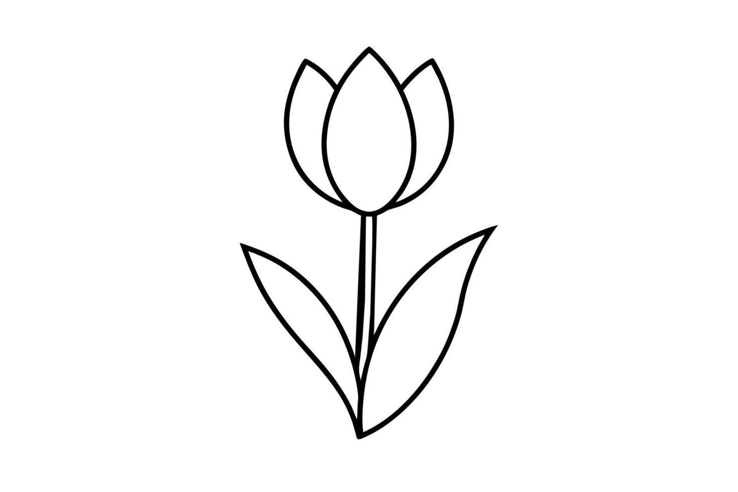 Tulip Vector Art Illustration