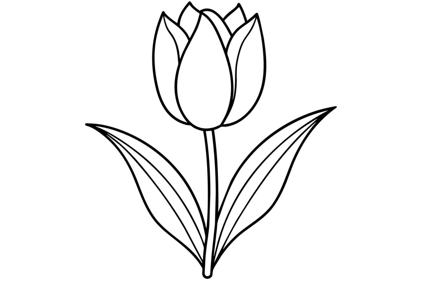 Tulip Vector Art Illustration