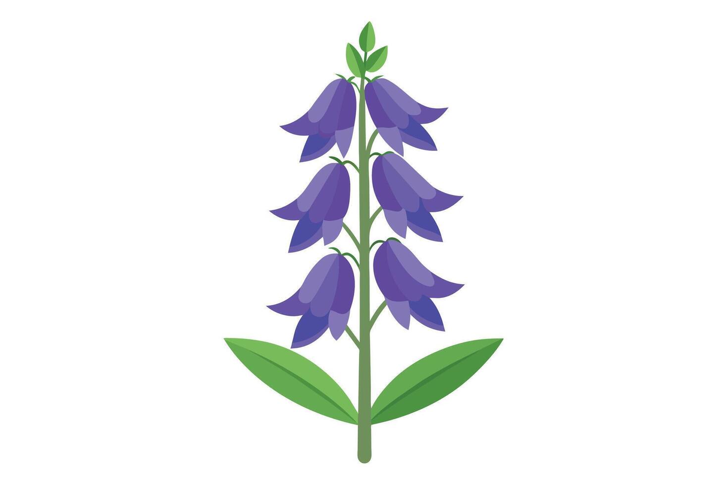 Monkshood Flower Vector Illustration Isolated on a Clean Background