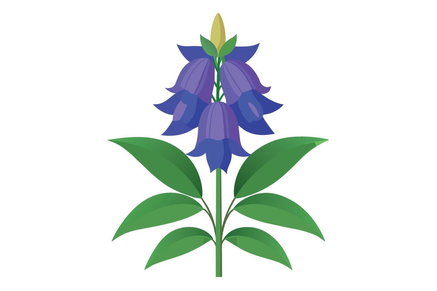 Monkshood Flower Vector Illustration Isolated on a Clean Background