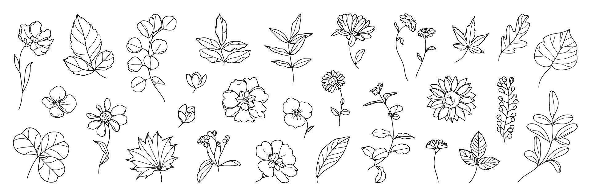 Set of flower hand drawn element vector. Collection of foliage, branch, floral, leaves, wildflower, sunflower, eucalyptus. Spring blossom illustration design for logo, wedding, invitation, decor. vector