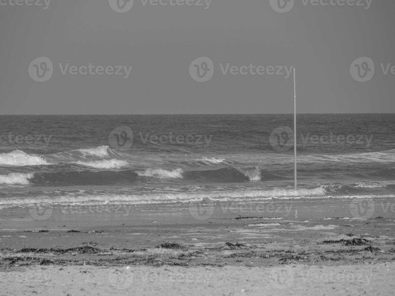 the island of juist photo