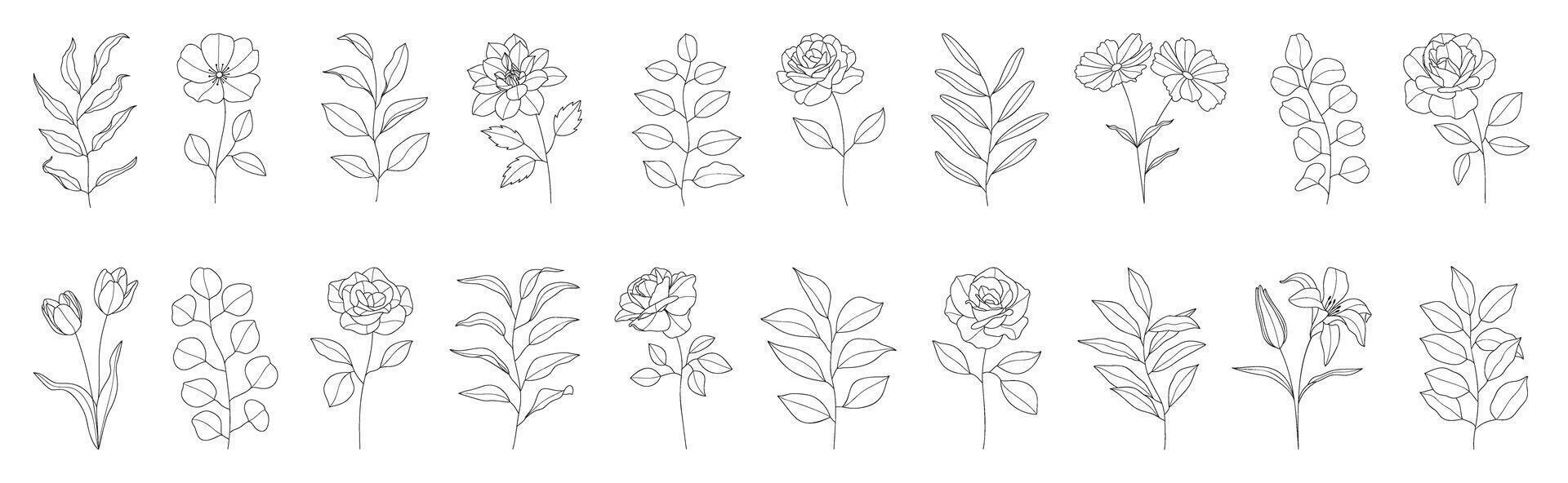 Set of flower hand drawn element vector. Collection of foliage, branch, floral, leaves, wildflower, eucalyptus, rose, lily. Spring blossom illustration design for logo, wedding, invitation, decor. vector