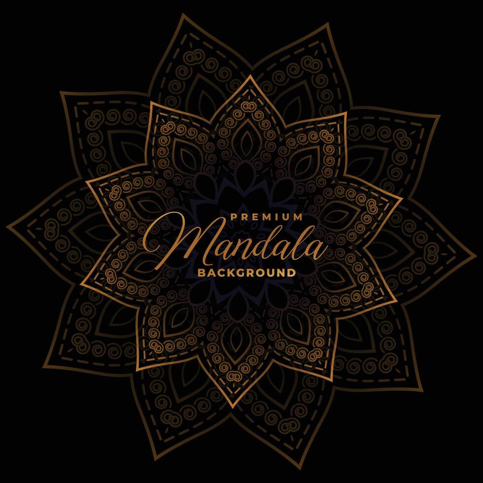 decorative mandala pattern on dark black background vector