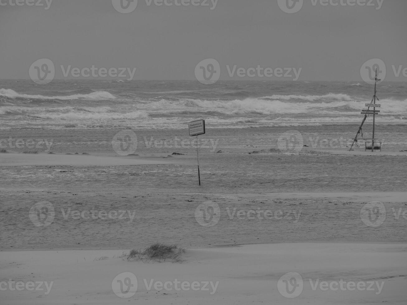 the island juist photo