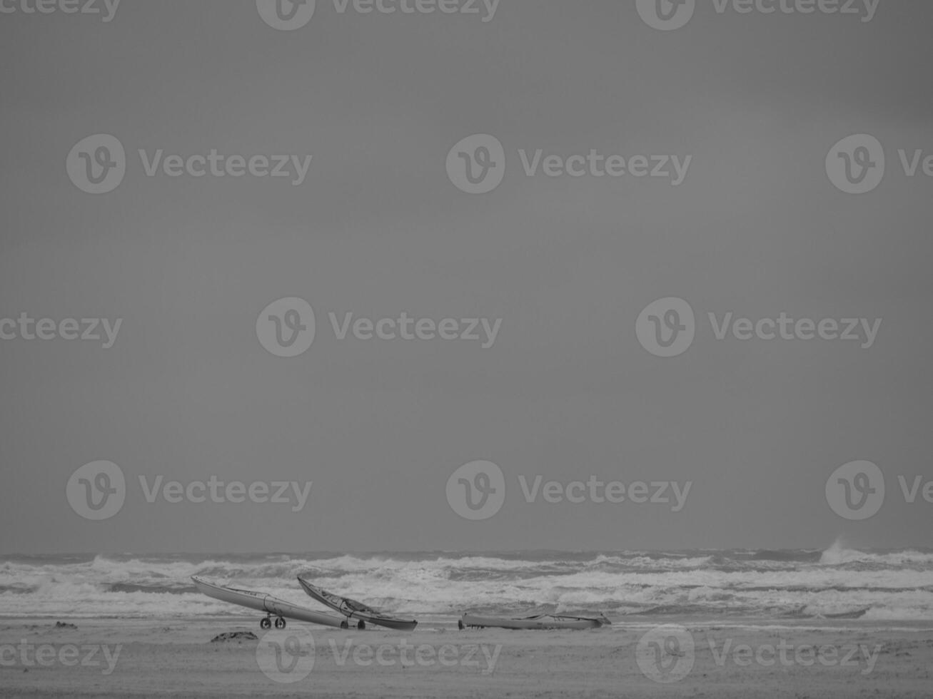 the island juist photo