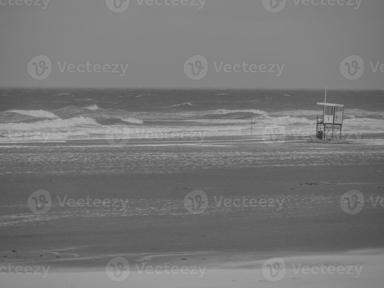 the island juist photo