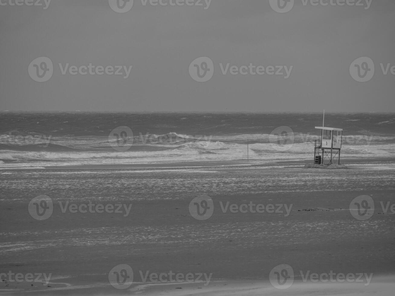 the island juist photo