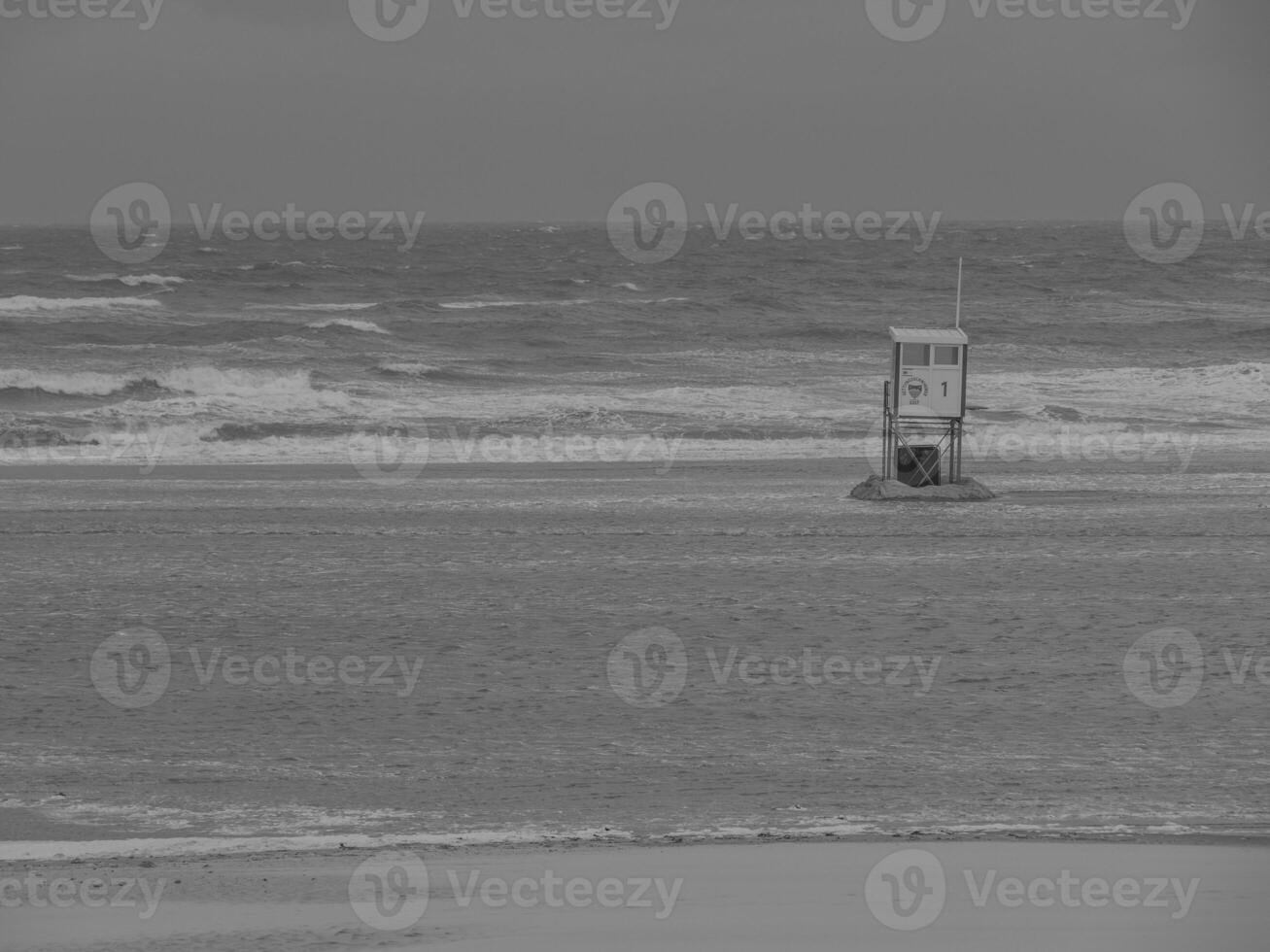 the island juist photo