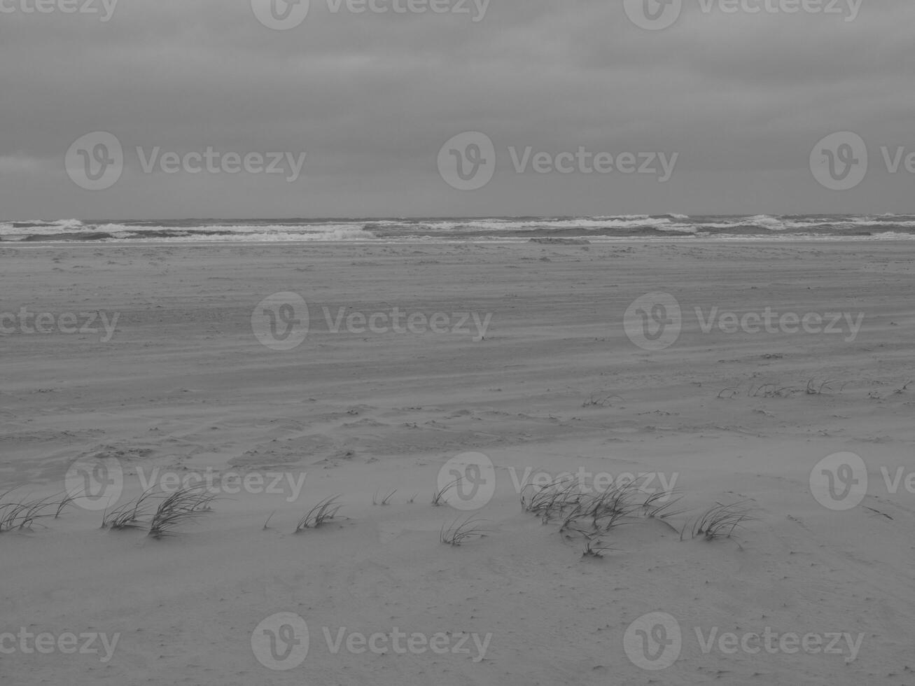 the island juist photo