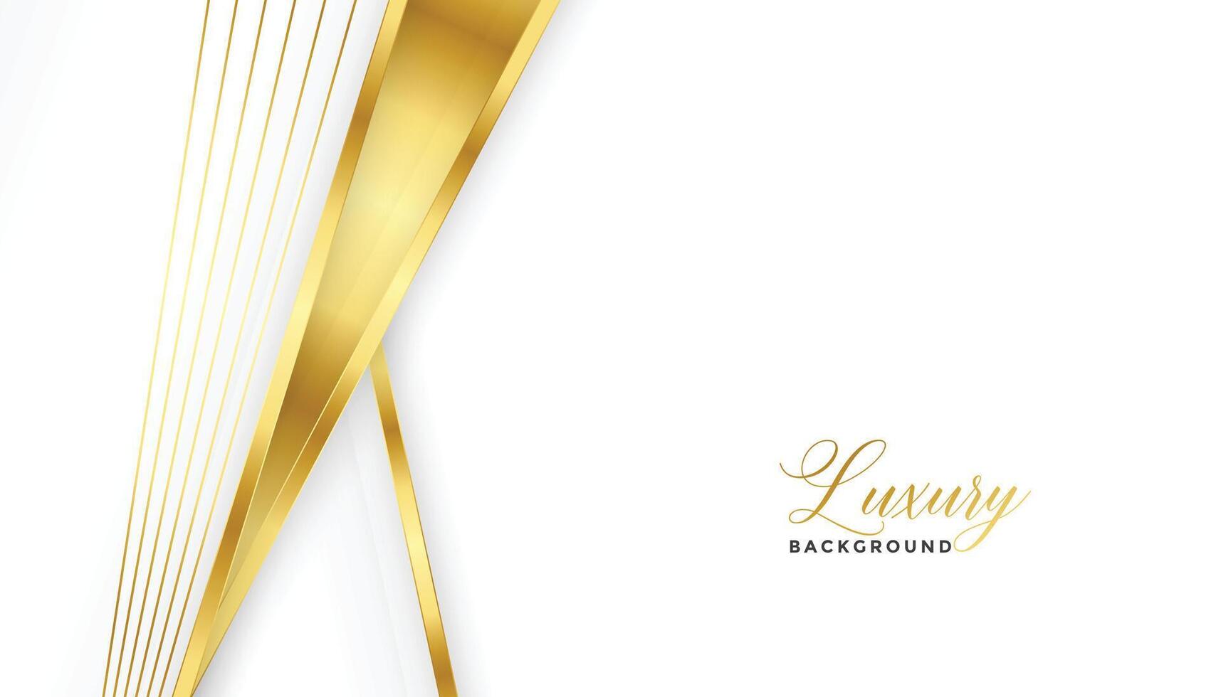 premium golden lines and white background design vector