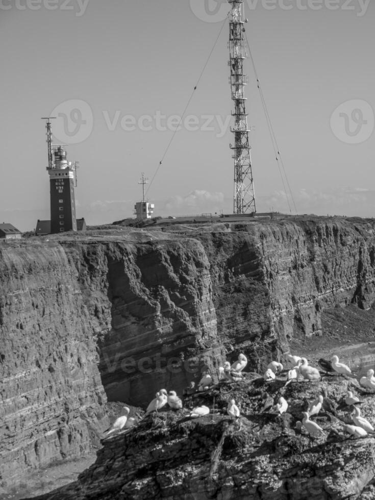 la isla de helgolandia foto