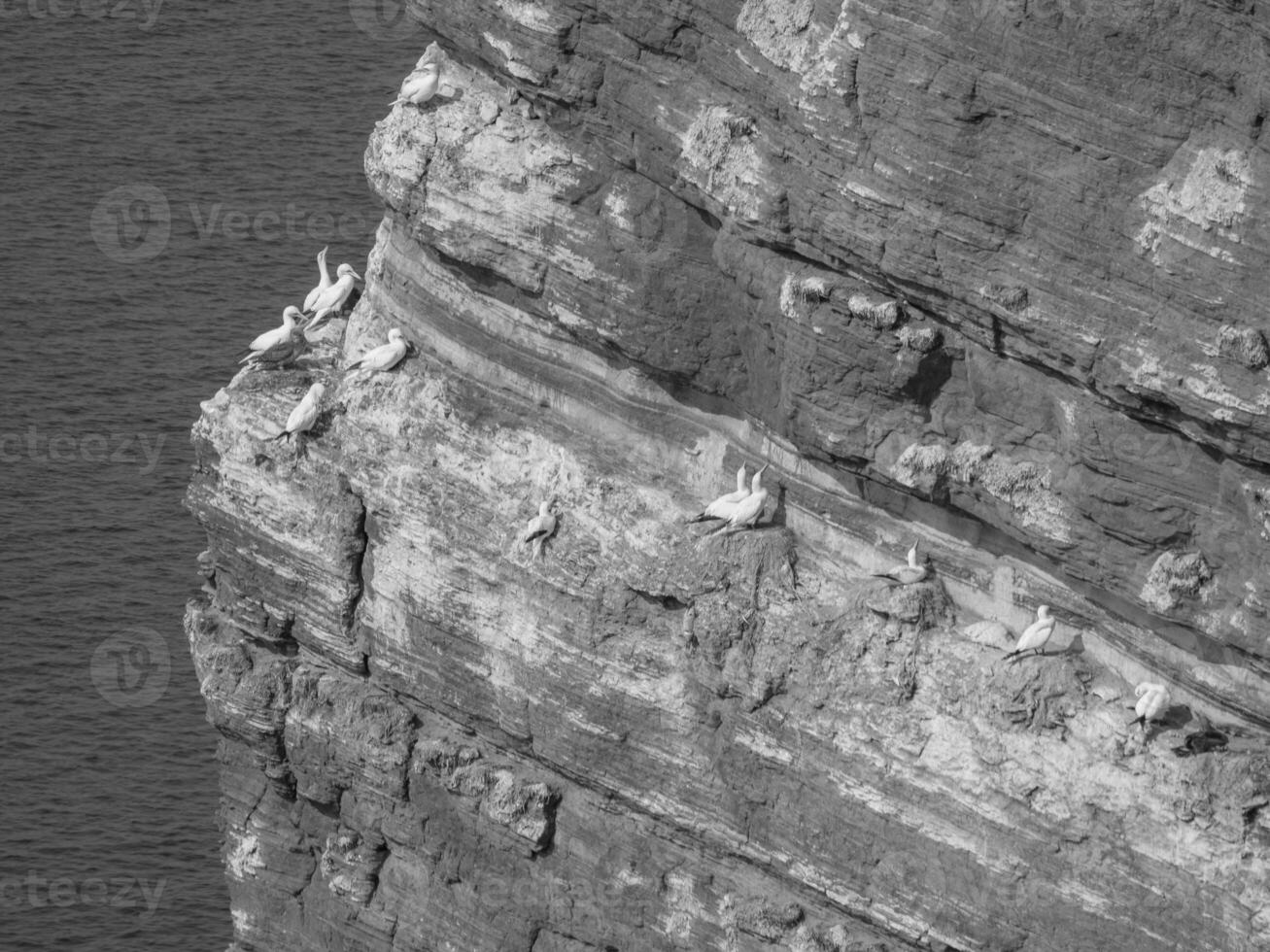 the island of Helgoland photo