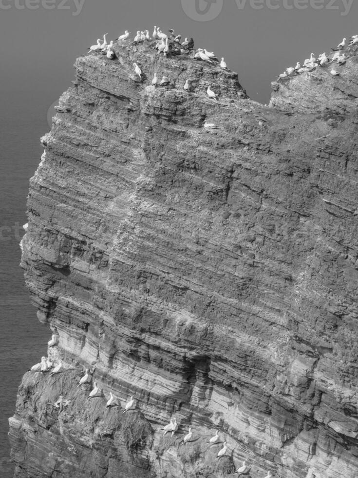 the island of Helgoland photo