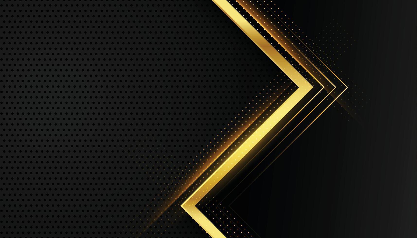 elegant black and golden lines beautiful background vector