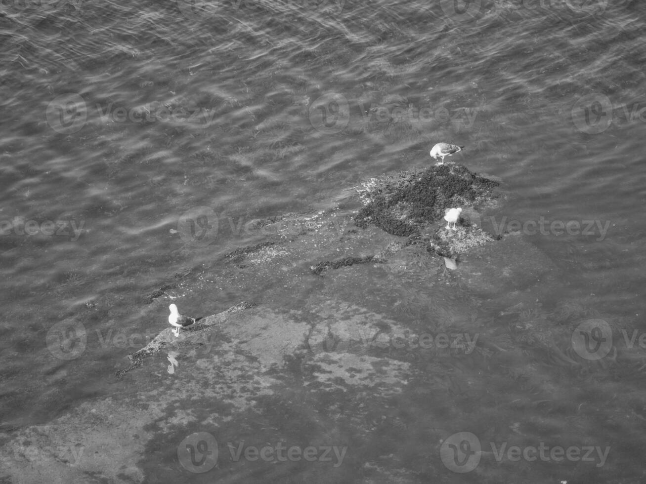 the island of Helgoland photo