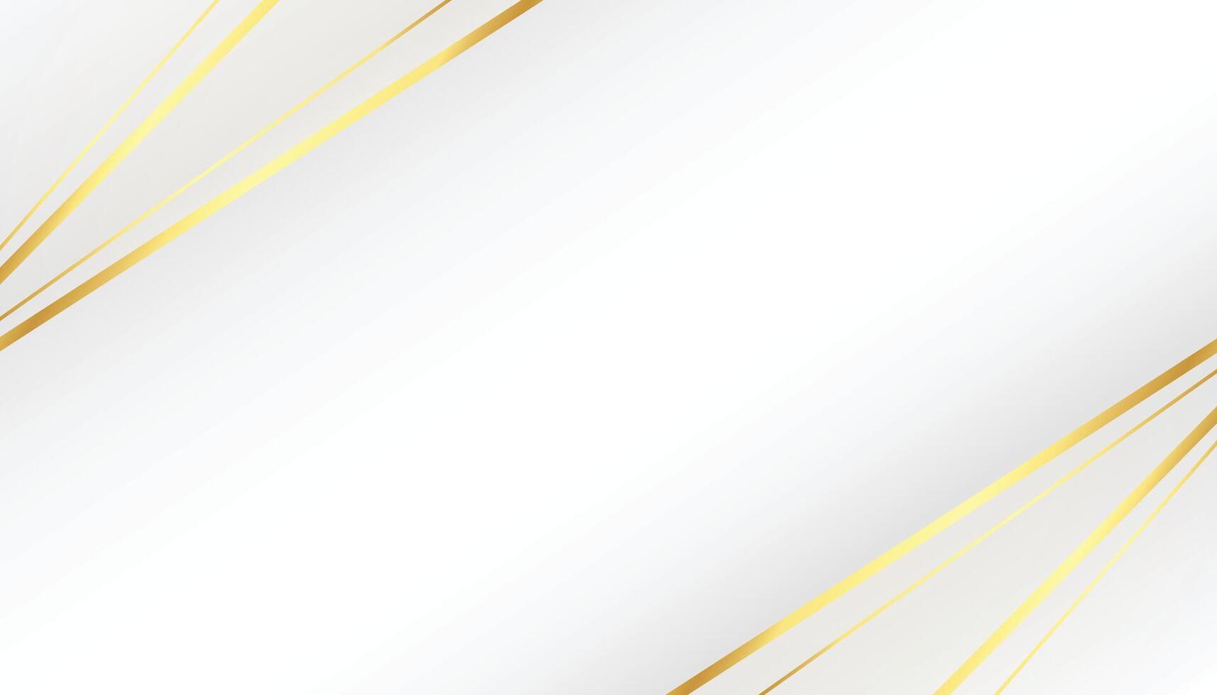 beautiful white background with golden lines shapes vector