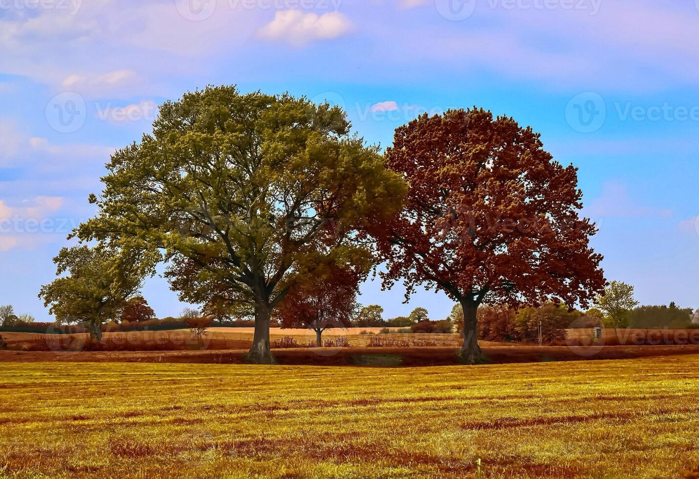 Beautiful panorama view on a golden autumn landscape found in eu photo