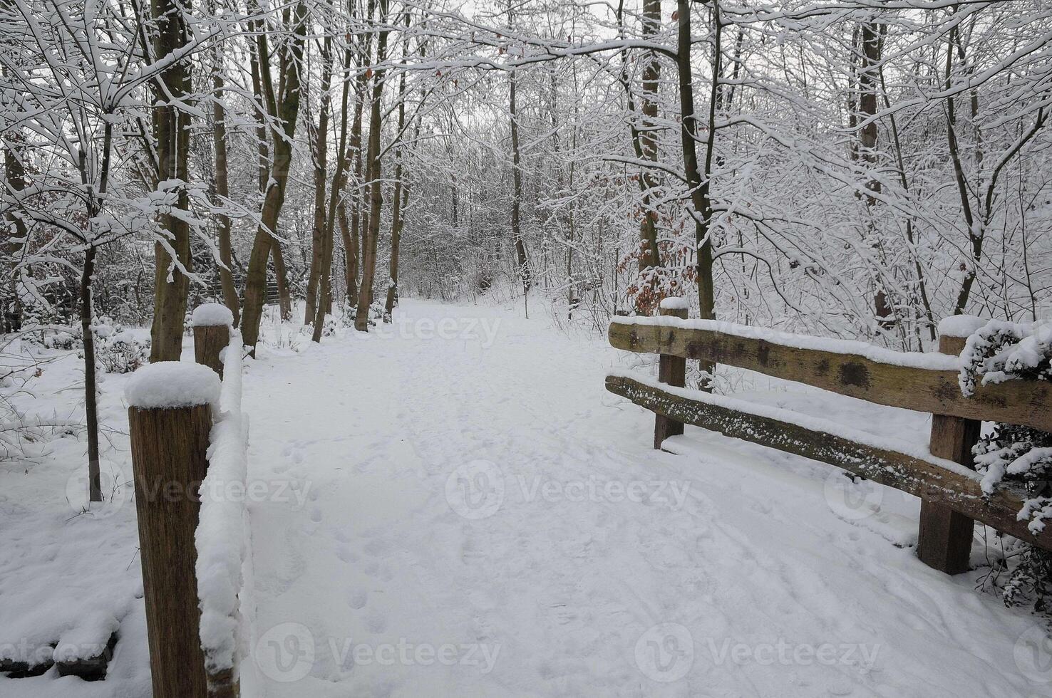 winter time in westphalia photo