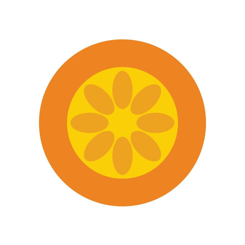 Orange fruit flat icon on the white background for web and mobile design. resources graphic icon element design. Vector illustration with a food theme