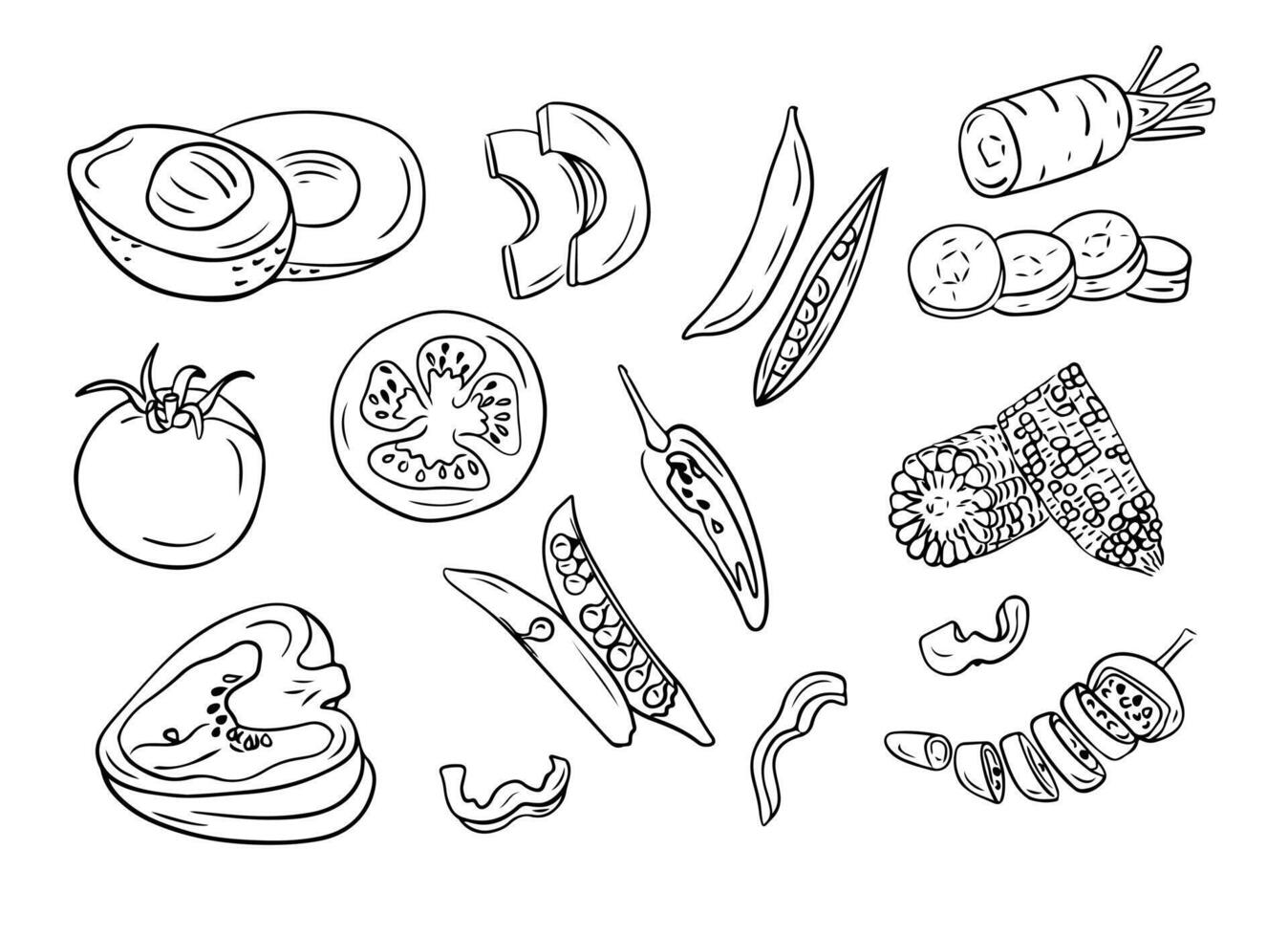 Sketchy hand drawn contour drawings of cut vegetables. Doodle outline vegetables for healthy eating on white background. Ideal for coloring pages, tattoo, pattern vector