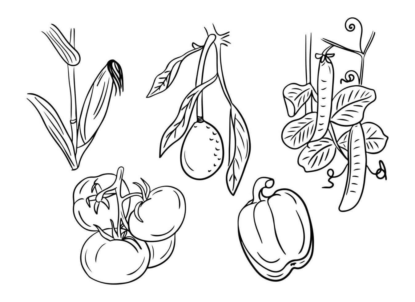 Ink hand drawn illustration of growing vegetables. Sketchy outline vegetables for healthy eating on white background. Ideal for coloring pages, tattoo, pattern vector