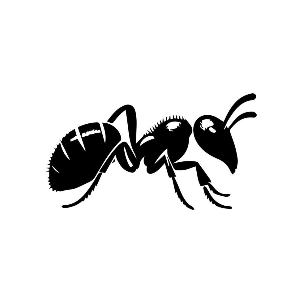 illustration with ant silhouettes isolated on white background vector