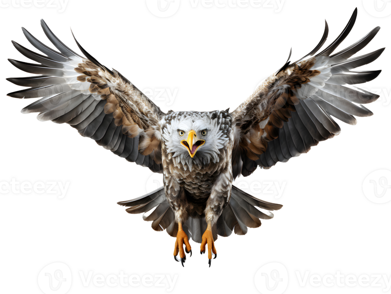 AI generated Eagle Flying with Spread Wings Isolated on Transparent Background. Close Up of a Hawk. Generative Ai png